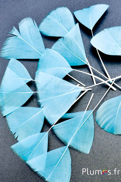 Pluimenblaadjes - 6-8 cm x 3-4 cm - ijs